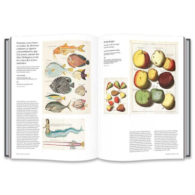 The Art of the Illustrated Book (V&A Museum)