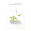 Setsuan Purple Orchid Boxed Notecards