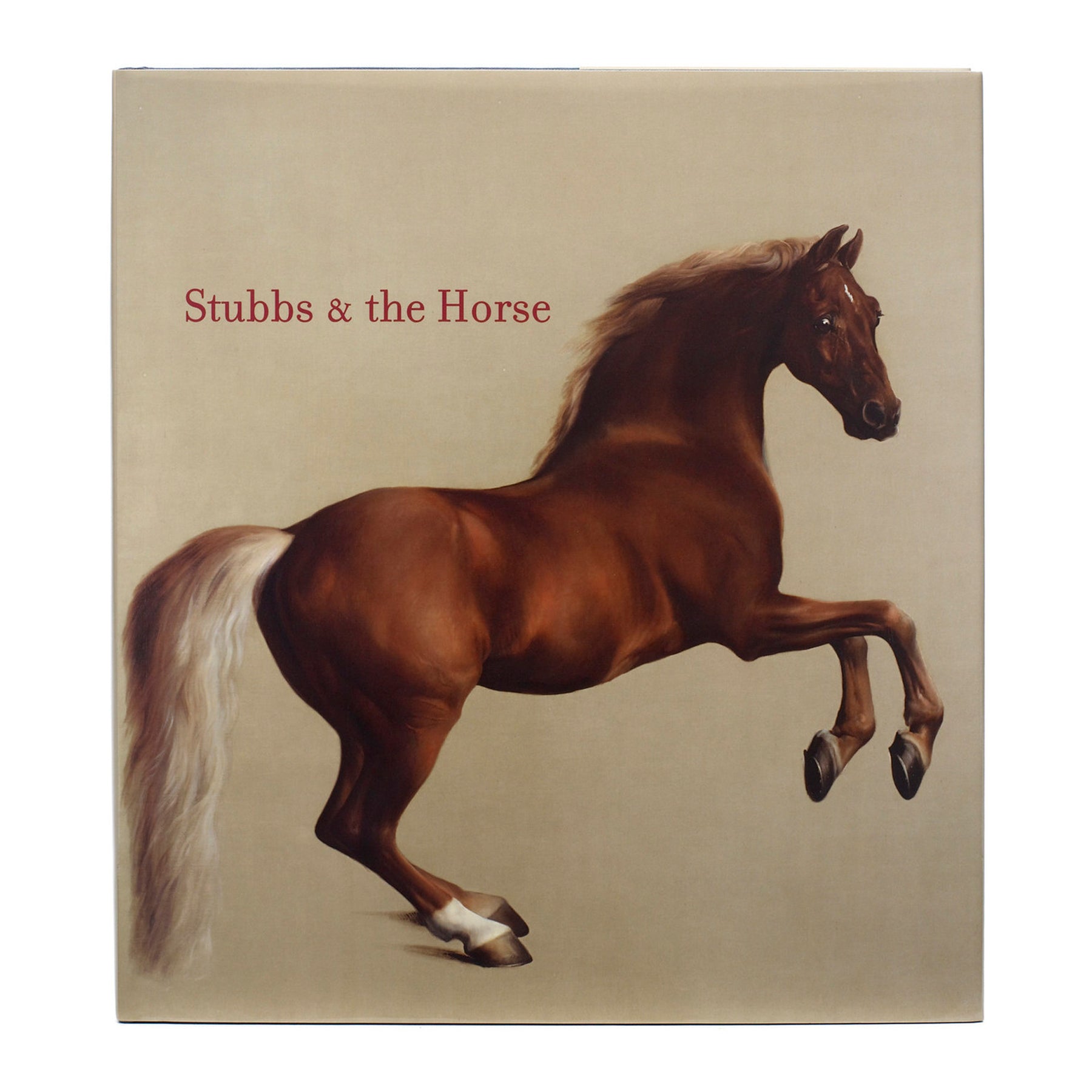 Stubbs and the Horse